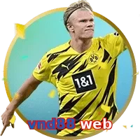 vnd88 web